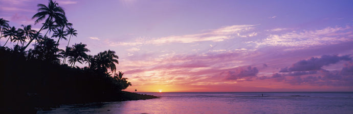 Silhouette of trees on the beach, Kee Beach, Kauai, Hawaii, USA