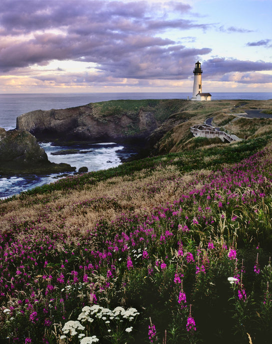 Silhouette of Yaquina Head Lighthouse, Yaquina Head, Lincoln County, Oregon, USA