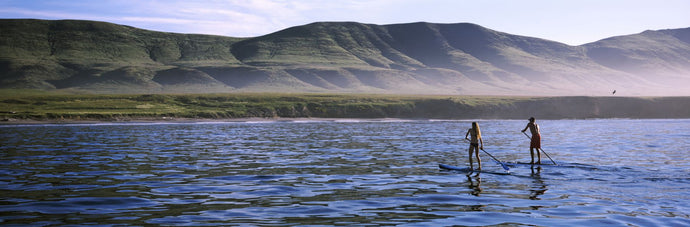 Tourists paddleboarding in the pacific ocean, Santa Cruz Island, Santa Barbara County, California, USA