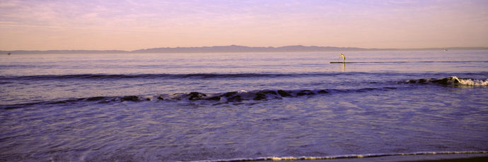 Paddle-boarder in sea, Santa Rosa Island, Santa Rosa County, California, USA