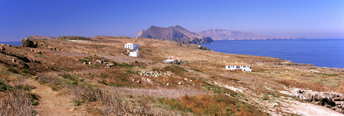 Small houses at coast, Anacapa Island, Santa Cruz Island, California, USA