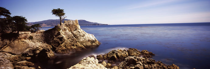 Cypress tree at the coast, The Lone Cypress, 17 mile Drive, Carmel, California, USA