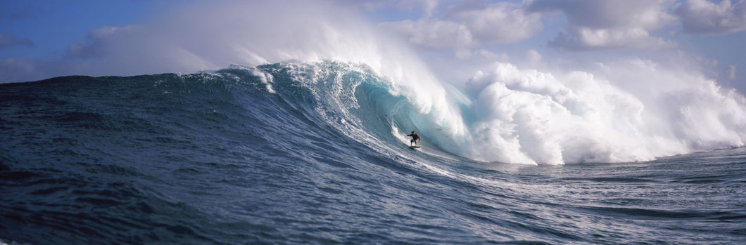 Surfer in the sea, Maui, Hawaii, USA