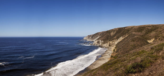 Surf at the coast, Tomales Point, Point Reyes National Seashore, Marin County, California, USA