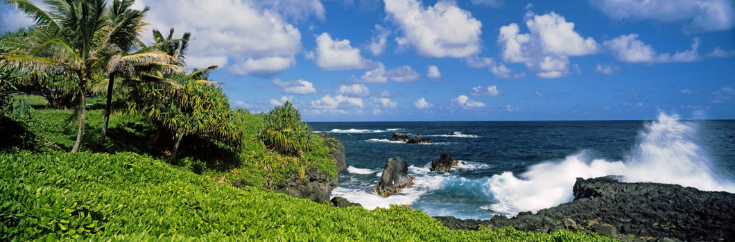 Waves breaking on the coast, Mokapu Beach, Maui, Hawaii, USA