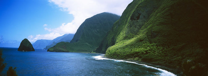 High angle view of sea cliffs at Kalawao, Pacific Ocean, Kalaupapa Peninsula, Molokai, Hawaii, USA