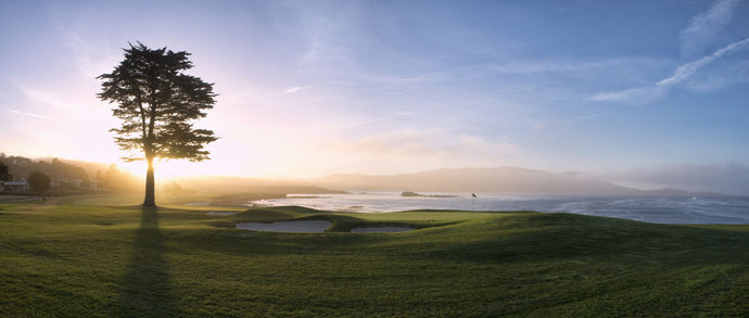 18th Hole with iconic cypress tree at sunrise on Pebble Beach Golf Links, Pebble Beach, California, USA