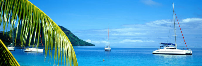 Sailboats in the ocean, Tahiti, Society Islands, French Polynesia