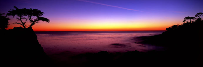 Silhouette of Lone Cypress Tree on a cliff, 17-Mile Drive, Pebble Beach, Carmel, Monterey County, California, USA