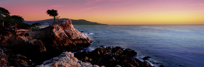 Silhouette of Lone Cypress Tree at a coast, 17-Mile Drive, Carmel, Monterey County, California, USA