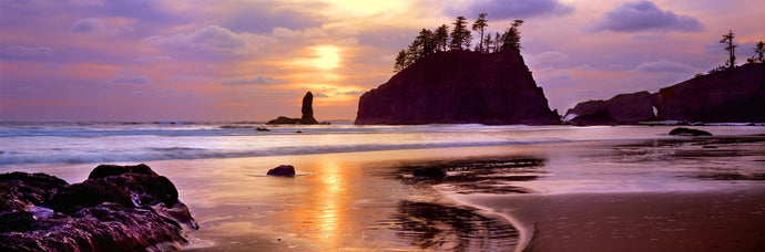 Silhouette of sea stacks at sunset, Second Beach, Olympic National Park, Washington State, USA