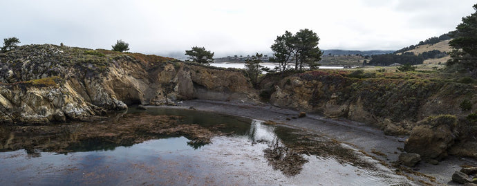 Elevated View of the coastline, Point Lobos State Reserve, Monterey County, California, USA