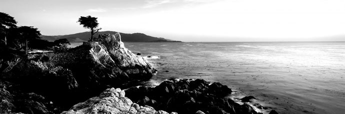 Silhouette of Lone Cypress Tree at a coast, 17-Mile Drive, Carmel, Monterey County, California, USA