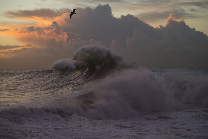 Waves in the Pacific Ocean, San Pedro, Los Angeles, California, USA