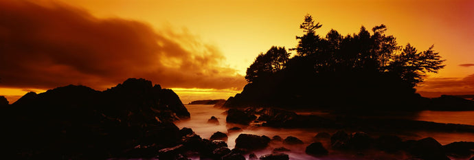 Silhouette of rocks and trees at sunset, Tofino, Vancouver Island, British Columbia, Canada